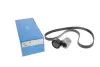 Комплект доріжкових пасків SKF VKMA36145