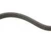 Комплект доріжкового ремня SKF VKMA33222