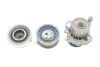 Комплект ГРМ, пас+ролик+помпа SKF VKMC01130