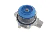 Комплект ГРМ, пас+ролик+помпа SKF VKMC012781