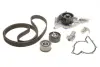 Комплект ГРМ, пас+ролик+помпа SKF VKMC019031