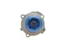 Комплект ГРМ, пас+ролик+помпа SKF VKMC019182 (фото 6)