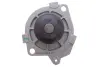 Комплект ГРМ, пас+ролик+помпа SKF VKMC02179