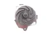 Комплект ГРМ, пас+ролик+помпа SKF VKMC02179