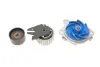 Комплект ГРМ, пас+ролик+помпа SKF VKMC02194