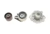 Комплект ГРМ, пас+ролик+помпа SKF VKMC02194