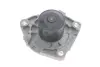 Комплект ГРМ, пас+ролик+помпа SKF VKMC021992