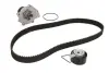 Комплект ГРМ, пас+ролик+помпа SKF VKMC07301