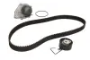 Комплект ГРМ, пас+ролик+помпа SKF VKMC07301