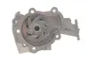Комплект ГРМ, пас+ролик+помпа SKF VKMC90008