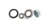 Комплект подшипника ступицы колеса SKF VKBA 6537