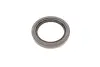 Комплект подшипника ступицы колеса SKF VKBA6537