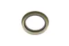 Комплект подшипника ступицы колеса SKF VKBA6537