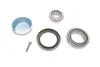 Комплект подшипника ступицы колеса SKF VKBA6693