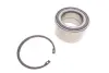 Комплект подшипника ступицы колеса SKF VKBA6696