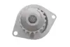 Комплект (ремінь+ролик+помпа) SKF VKMC03132 (фото 9)