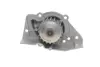 Комплект (ремінь+ролик+помпа) SKF VKMC032412 (фото 6)