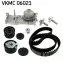Комплект (ремінь+ролик+помпа) SKF VKMC 06021
