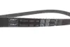 Комплект (ремінь+ролики) SKF VKMA01121