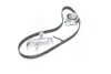 Комплект ремня грм SKF VKMA01918