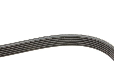 Комплект ремня грм skf VKMA31098