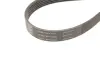 Комплект ремня грм SKF VKMA31098