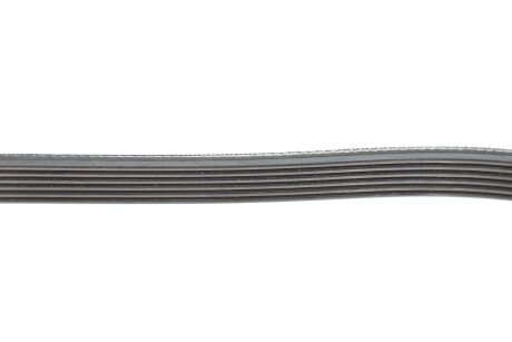 Комплект ремня грм skf VKMA31216