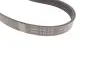 Комплект ремня грм SKF VKMA36055