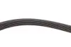 Комплект ремня грм SKF VKMA36055