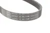Комплект ремня грм SKF VKMA36058