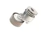 Комплект ремня грм SKF VKMA36072