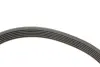 Комплект ремня грм SKF VKMA36179