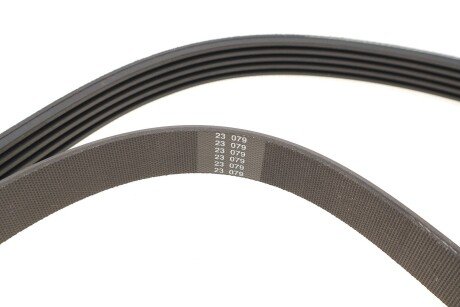 Комплект ремня грм skf VKMA36200