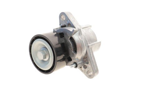 Комплект ремня грм skf VKMA36200