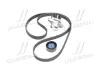 Комплект ремня грм SKF VKMA36209
