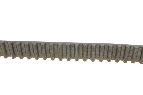 Комплект ремня грм skf VKMA95014