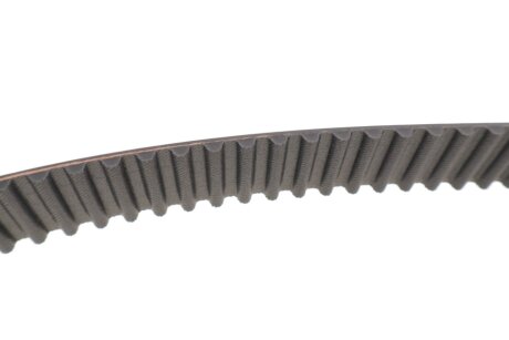 Комплект ремня грм skf VKMA95666