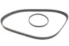 Комплект ремня грм SKF VKMA95666