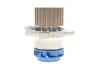 Комплект ремня грм SKF VKMC012502