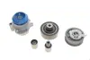 Комплект ремня грм SKF VKMC01251