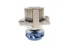 Комплект ремня грм SKF VKMC019181