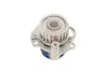 Комплект ремня грм SKF VKMC019181