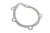 Комплект ремня грм SKF VKMC03244