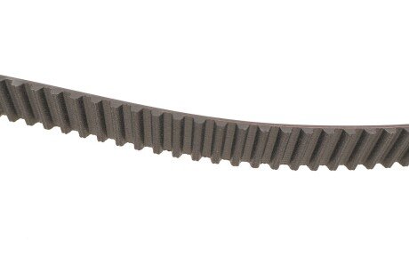 Комплект ремня грм skf VKMC03244