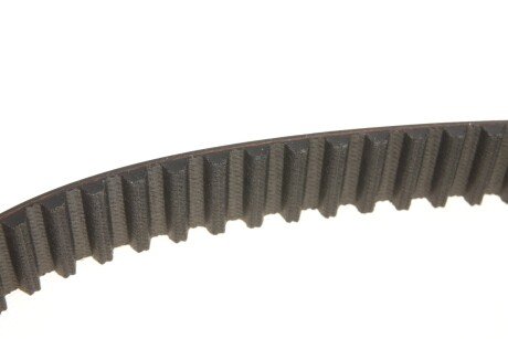 Комплект ремня грм skf VKMC03247