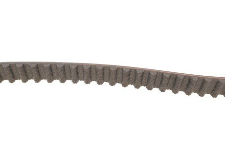 Комплект ремня грм skf VKMC03254