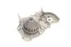Комплект ремня грм SKF VKMC06005