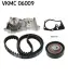 Комплект ремня грм SKF VKMC 06009