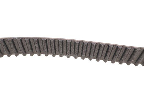 Комплект ремня грм skf VKMC956603