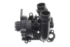 Насос охолоджувальної рідини + ремінь (Вир-во) SKF VKPA81242